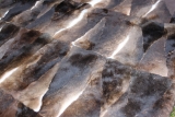 Bestseller Castor-Rex Kuscheldecke 130x180 cm
